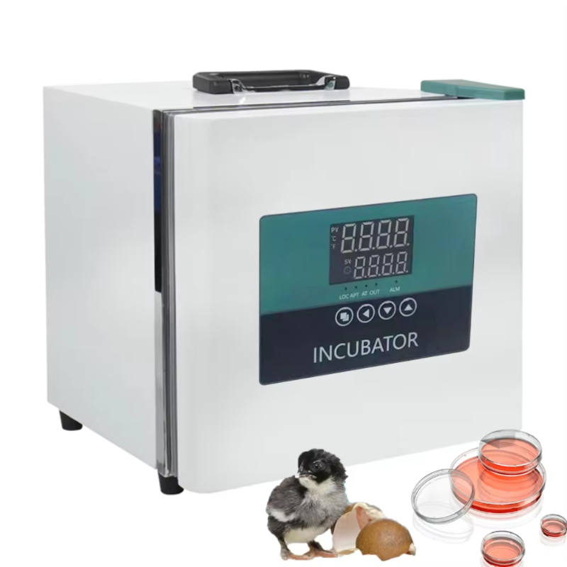 Medical Lab Microbiology - Incubateur portable de laboratoire monté sur